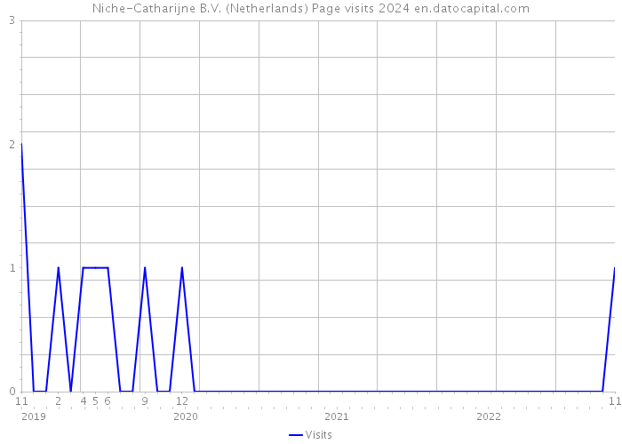 Niche-Catharijne B.V. (Netherlands) Page visits 2024 