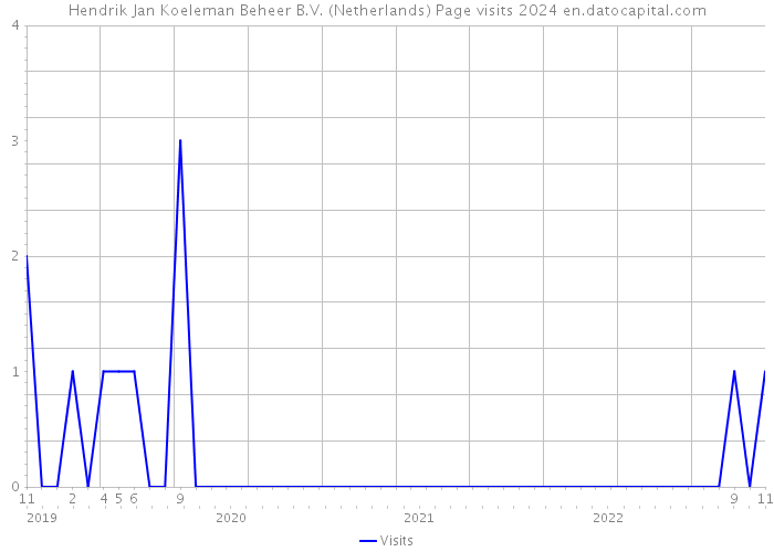 Hendrik Jan Koeleman Beheer B.V. (Netherlands) Page visits 2024 