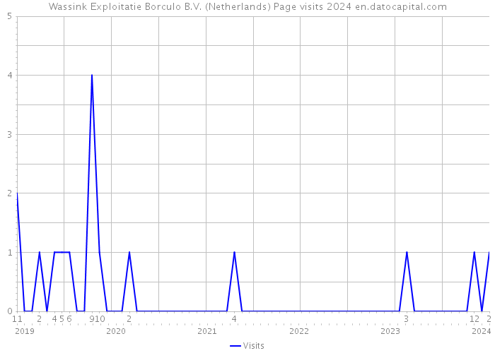 Wassink Exploitatie Borculo B.V. (Netherlands) Page visits 2024 