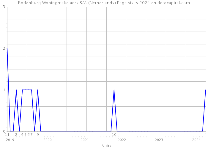 Rodenburg Woningmakelaars B.V. (Netherlands) Page visits 2024 