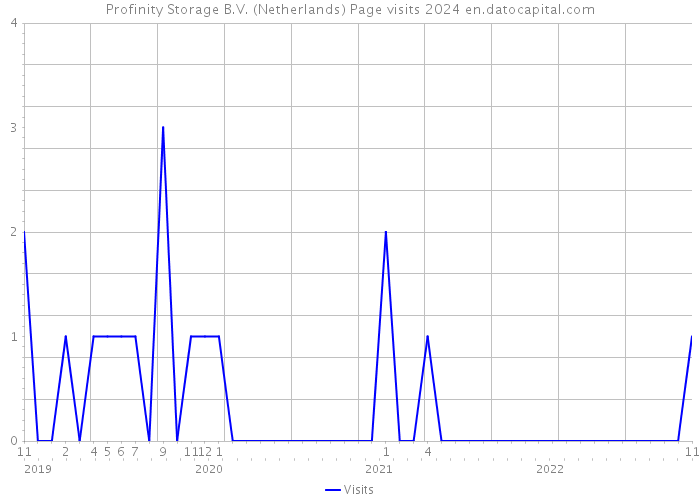 Profinity Storage B.V. (Netherlands) Page visits 2024 