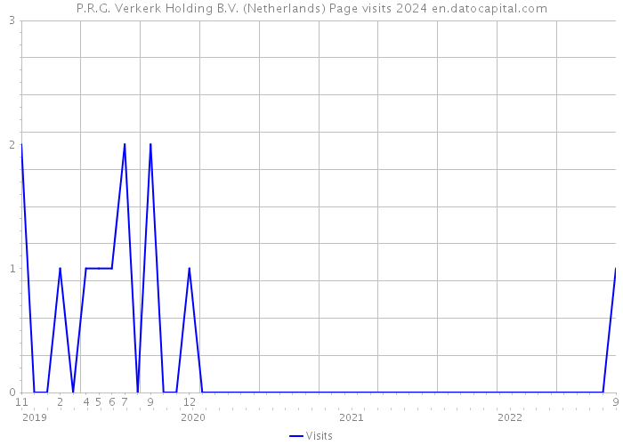 P.R.G. Verkerk Holding B.V. (Netherlands) Page visits 2024 
