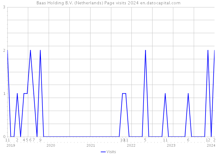 Baas Holding B.V. (Netherlands) Page visits 2024 
