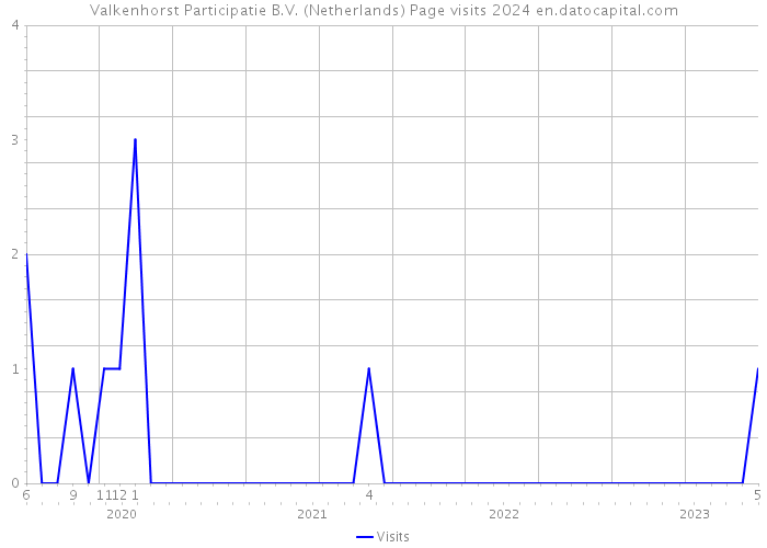 Valkenhorst Participatie B.V. (Netherlands) Page visits 2024 