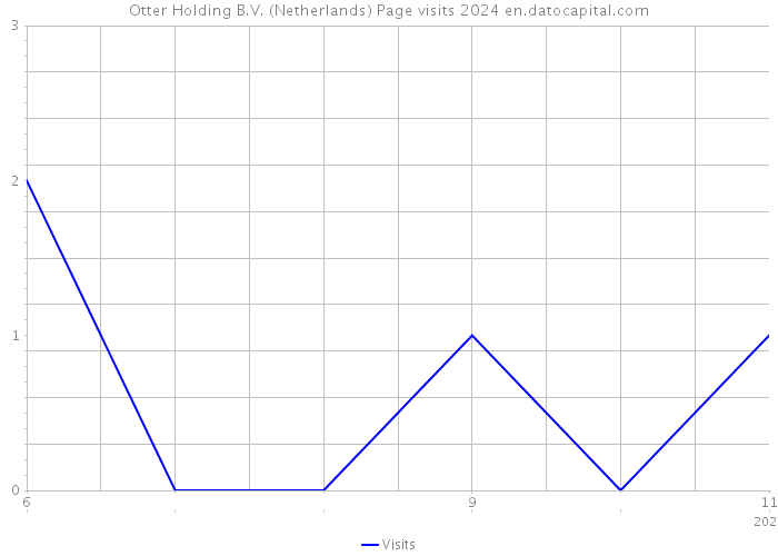 Otter Holding B.V. (Netherlands) Page visits 2024 