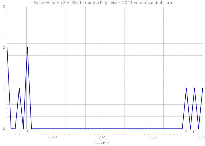 Boeve Holding B.V. (Netherlands) Page visits 2024 