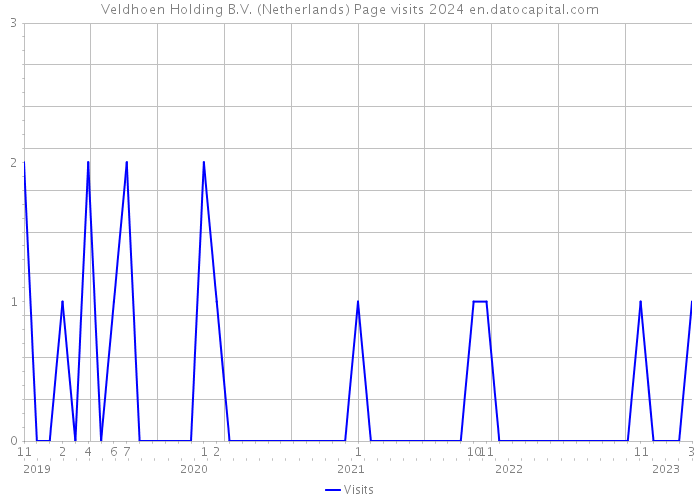 Veldhoen Holding B.V. (Netherlands) Page visits 2024 