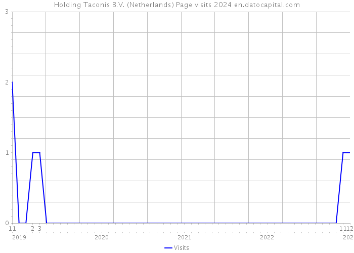 Holding Taconis B.V. (Netherlands) Page visits 2024 