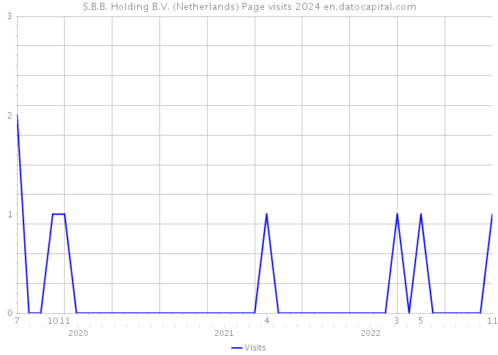 S.B.B. Holding B.V. (Netherlands) Page visits 2024 