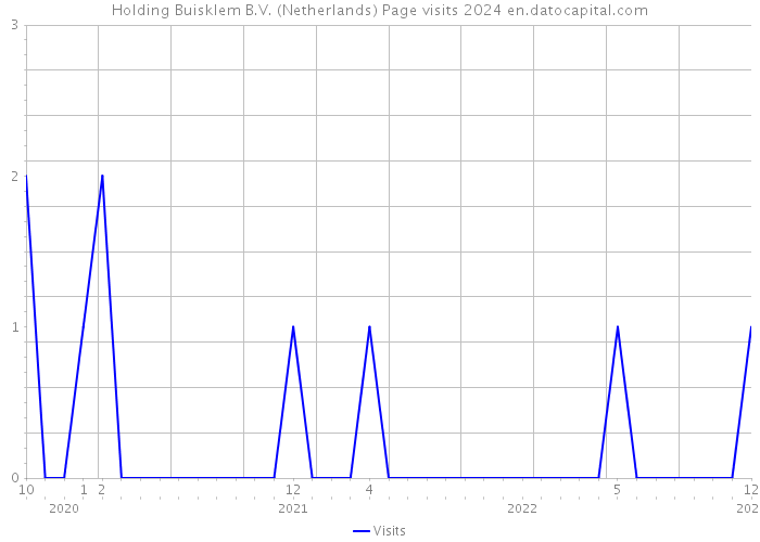 Holding Buisklem B.V. (Netherlands) Page visits 2024 
