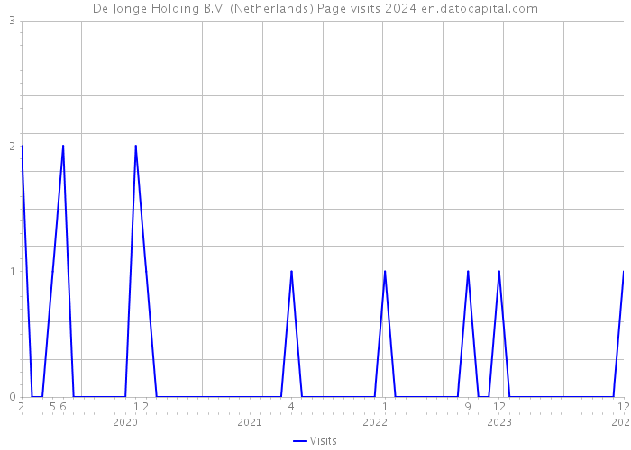 De Jonge Holding B.V. (Netherlands) Page visits 2024 