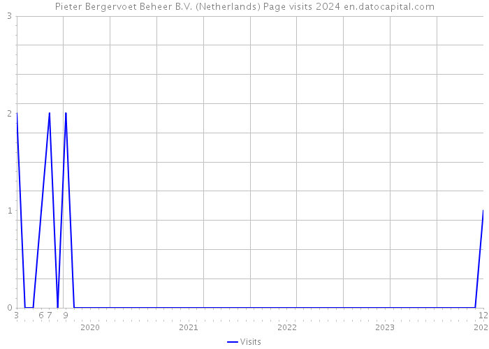 Pieter Bergervoet Beheer B.V. (Netherlands) Page visits 2024 
