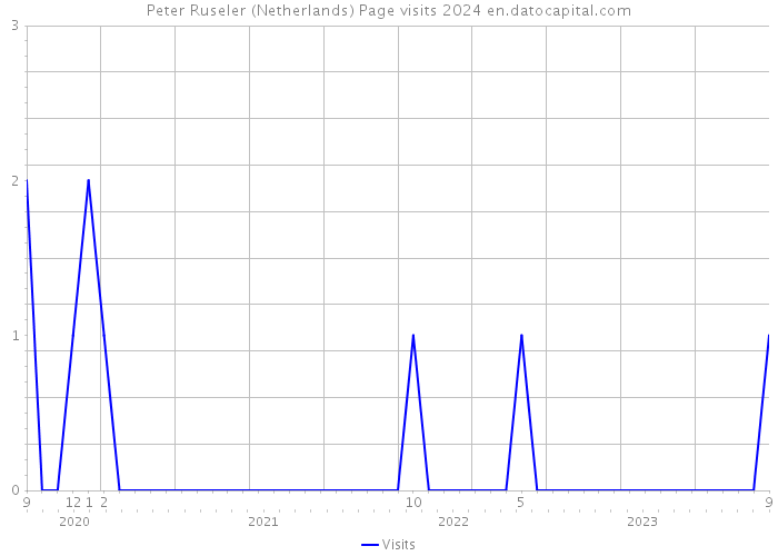 Peter Ruseler (Netherlands) Page visits 2024 