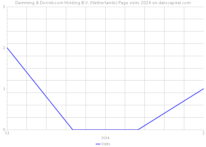 Damming & Dorreboom Holding B.V. (Netherlands) Page visits 2024 