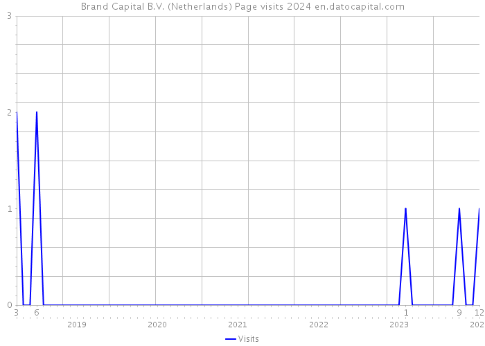 Brand Capital B.V. (Netherlands) Page visits 2024 