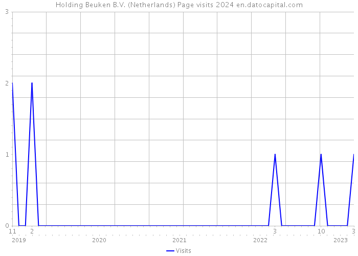 Holding Beuken B.V. (Netherlands) Page visits 2024 