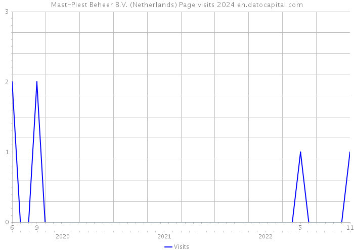 Mast-Piest Beheer B.V. (Netherlands) Page visits 2024 