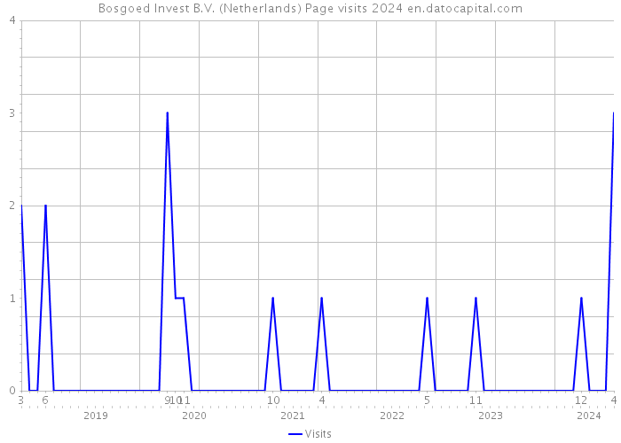 Bosgoed Invest B.V. (Netherlands) Page visits 2024 
