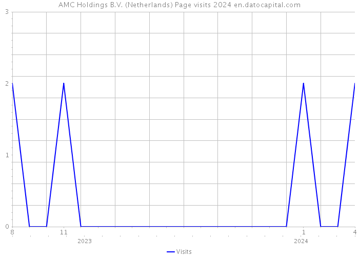 AMC Holdings B.V. (Netherlands) Page visits 2024 