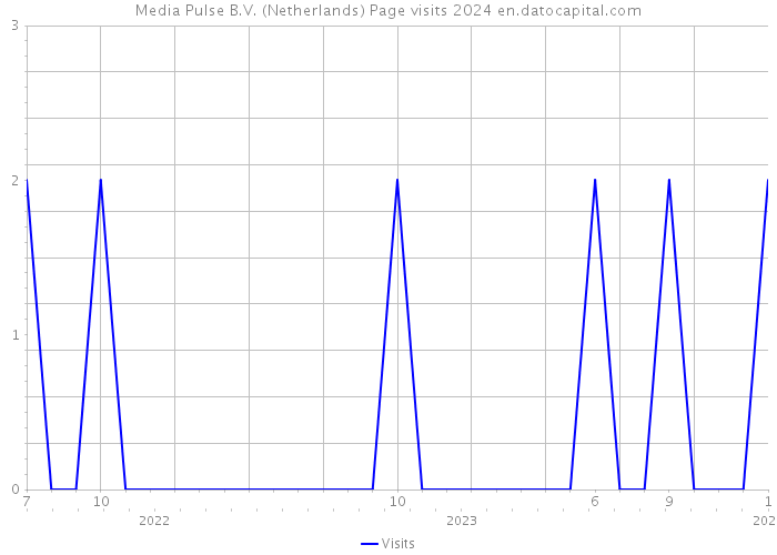 Media Pulse B.V. (Netherlands) Page visits 2024 