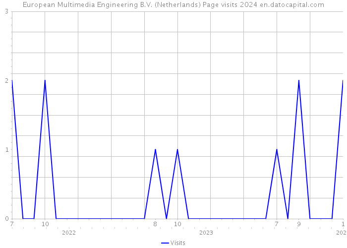 European Multimedia Engineering B.V. (Netherlands) Page visits 2024 