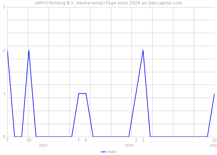 AMYU Holding B.V. (Netherlands) Page visits 2024 