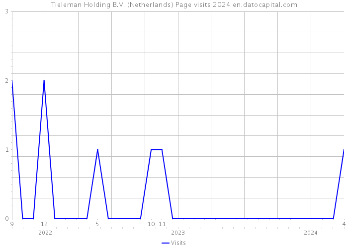 Tieleman Holding B.V. (Netherlands) Page visits 2024 