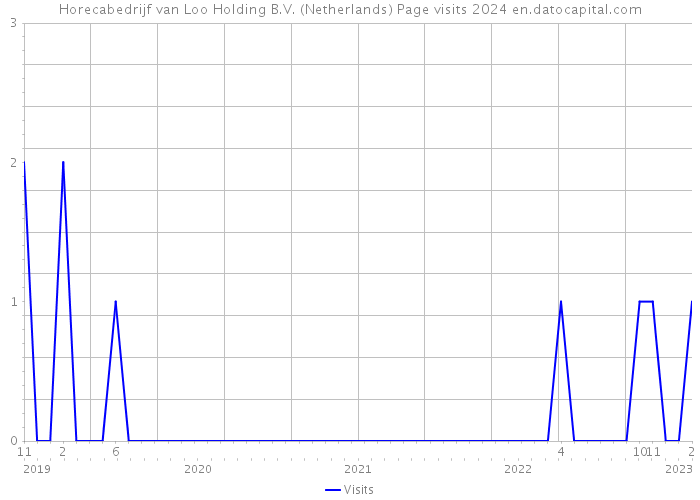 Horecabedrijf van Loo Holding B.V. (Netherlands) Page visits 2024 