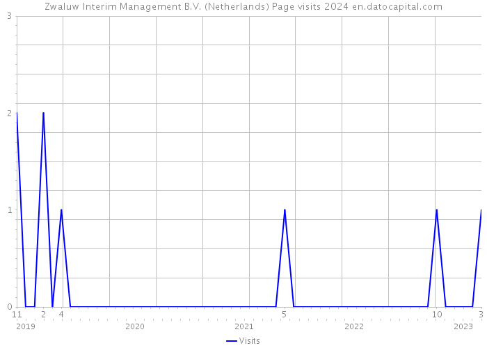 Zwaluw Interim Management B.V. (Netherlands) Page visits 2024 