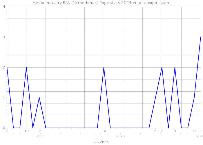 Media Industry B.V. (Netherlands) Page visits 2024 