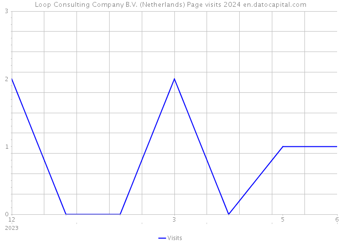 Loop Consulting Company B.V. (Netherlands) Page visits 2024 