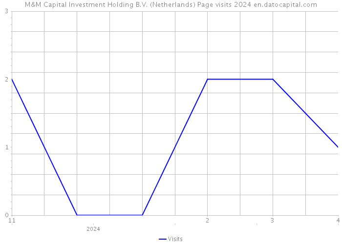 M&M Capital Investment Holding B.V. (Netherlands) Page visits 2024 