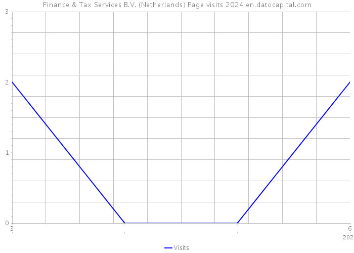 Finance & Tax Services B.V. (Netherlands) Page visits 2024 
