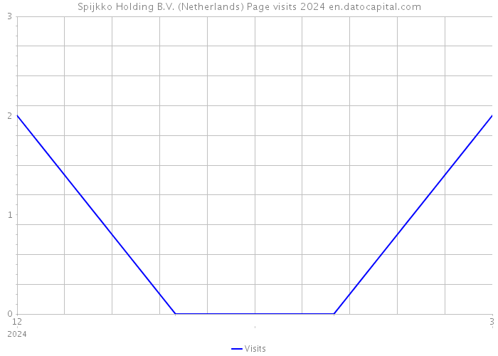 Spijkko Holding B.V. (Netherlands) Page visits 2024 