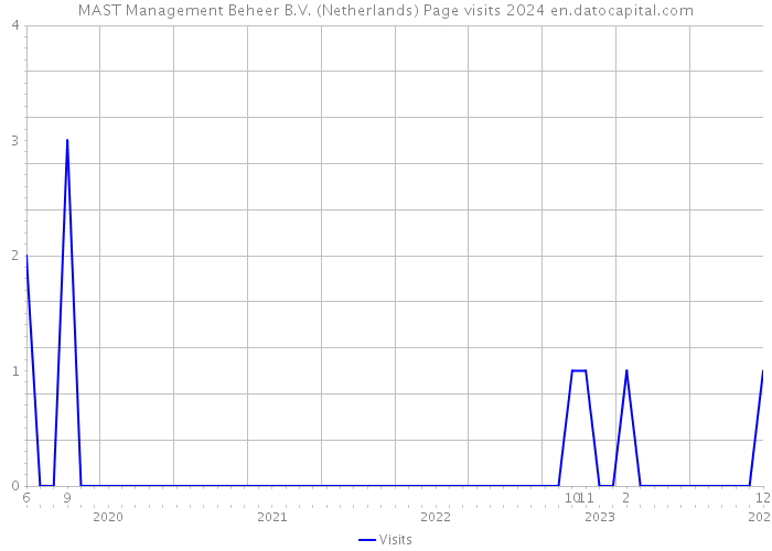 MAST Management Beheer B.V. (Netherlands) Page visits 2024 