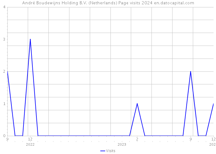 André Boudewijns Holding B.V. (Netherlands) Page visits 2024 
