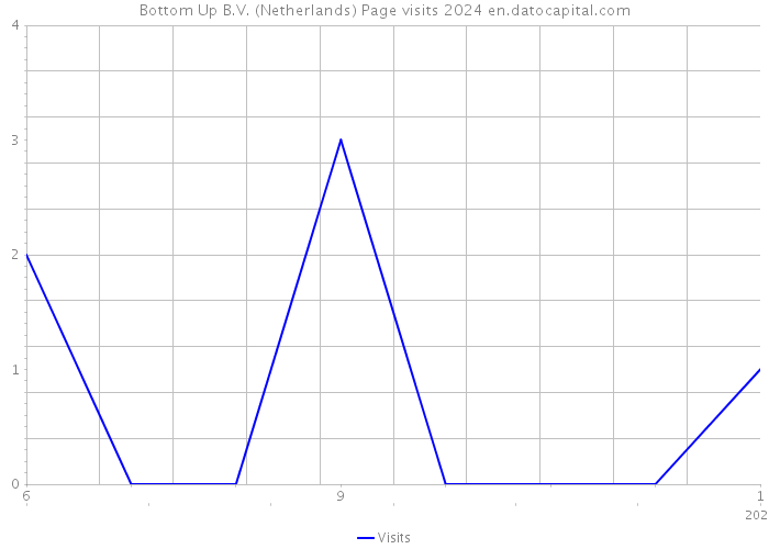 Bottom Up B.V. (Netherlands) Page visits 2024 