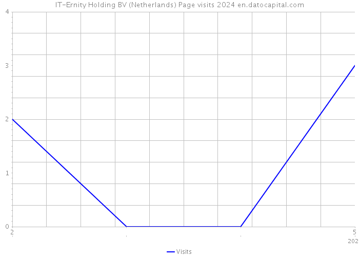 IT-Ernity Holding BV (Netherlands) Page visits 2024 