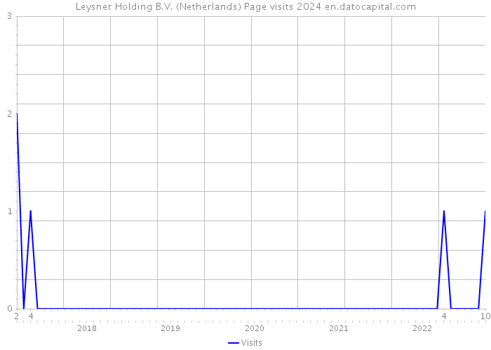 Leysner Holding B.V. (Netherlands) Page visits 2024 