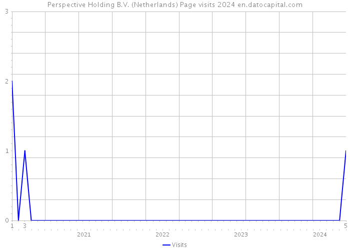 Perspective Holding B.V. (Netherlands) Page visits 2024 