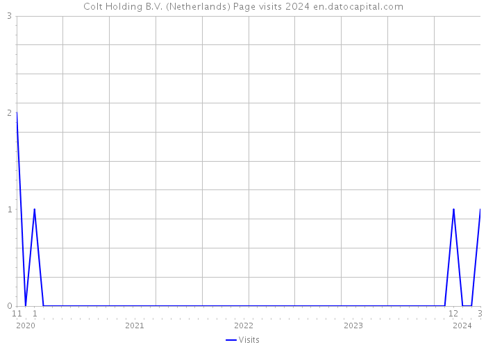 Colt Holding B.V. (Netherlands) Page visits 2024 