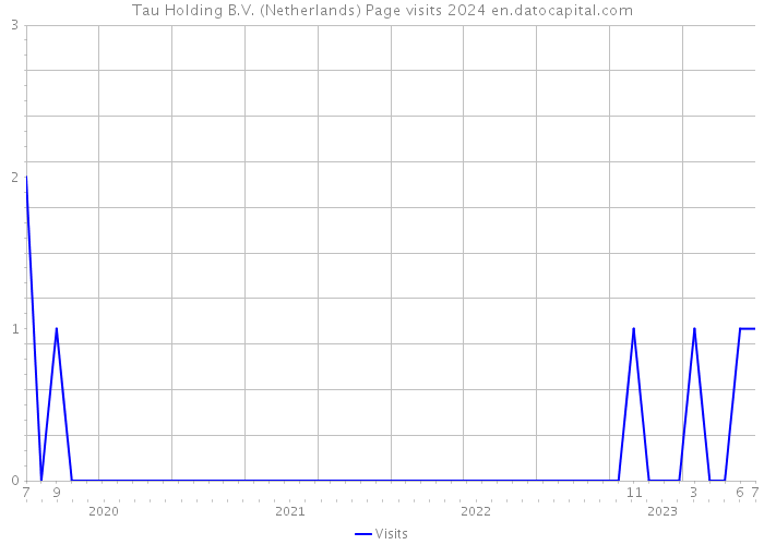 Tau Holding B.V. (Netherlands) Page visits 2024 