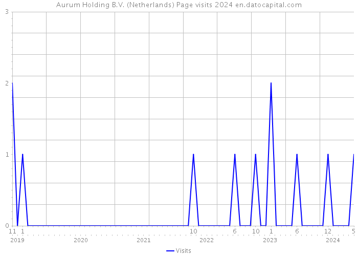 Aurum Holding B.V. (Netherlands) Page visits 2024 