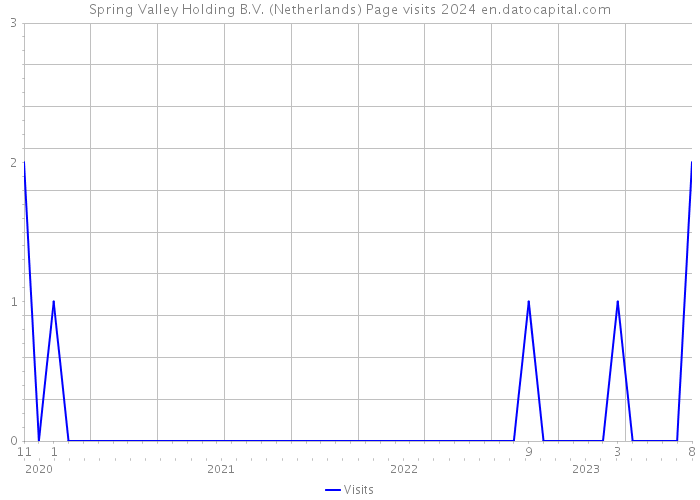 Spring Valley Holding B.V. (Netherlands) Page visits 2024 