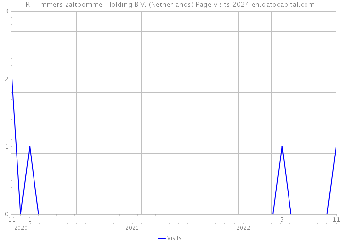 R. Timmers Zaltbommel Holding B.V. (Netherlands) Page visits 2024 