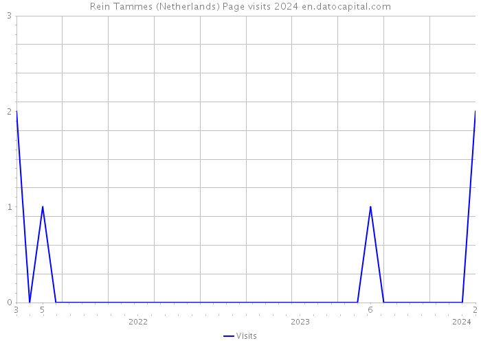 Rein Tammes (Netherlands) Page visits 2024 