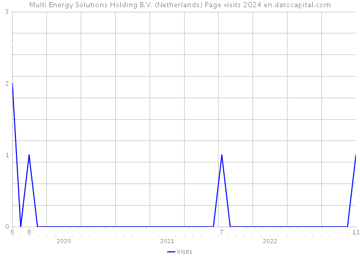 Multi Energy Solutions Holding B.V. (Netherlands) Page visits 2024 