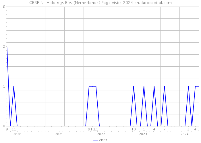 CBRE NL Holdings B.V. (Netherlands) Page visits 2024 