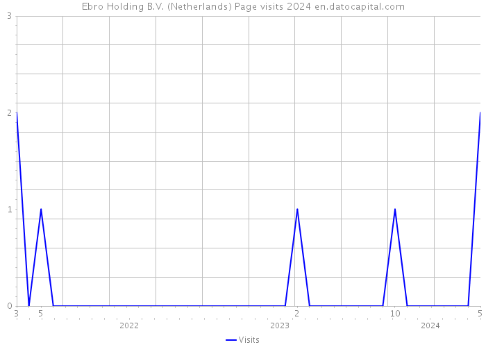 Ebro Holding B.V. (Netherlands) Page visits 2024 
