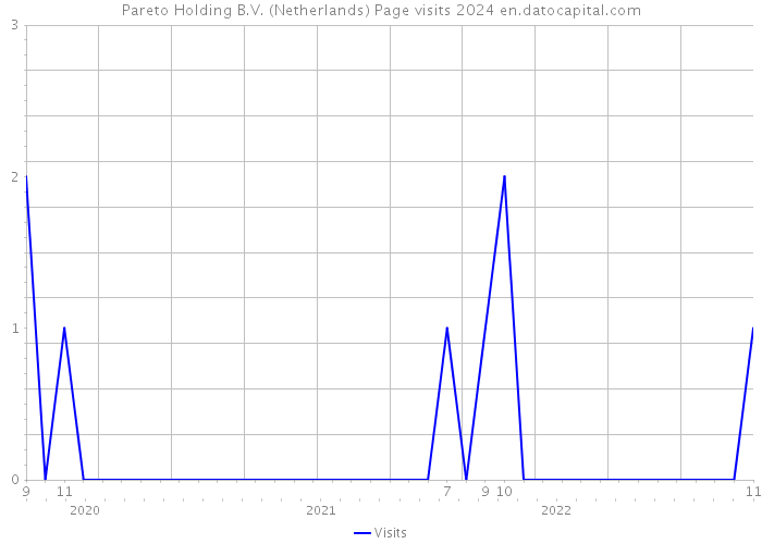Pareto Holding B.V. (Netherlands) Page visits 2024 